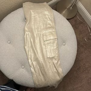 Shimmery pants very nice fit
